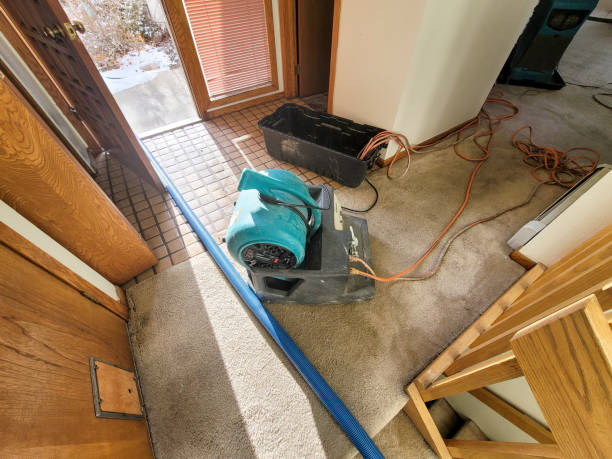 Best Residential water damage restoration  in Wildwood, FL