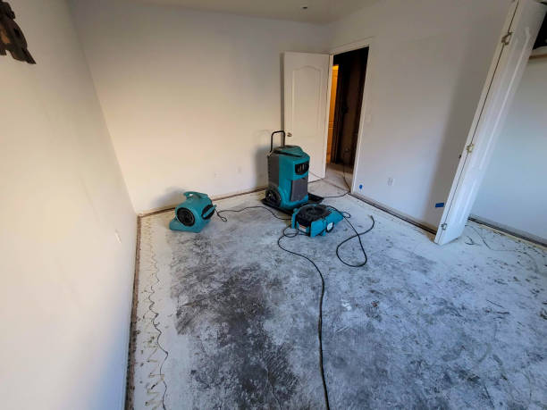 Best Water damage contractors near me  in Wildwood, FL