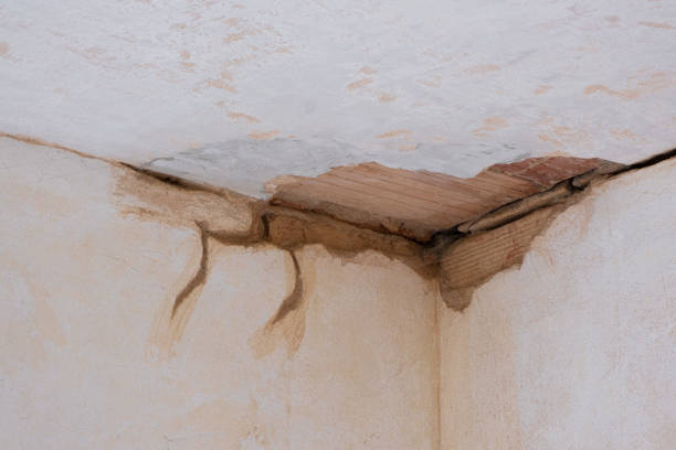 Best Commercial water damage restoration  in Wildwood, FL