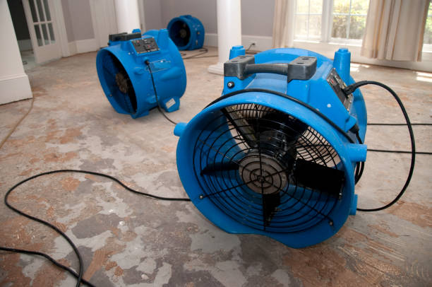 Best Water damage restoration near me  in Wildwood, FL