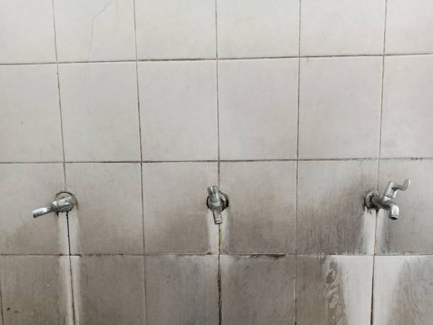 Best Fire Damage Restoration  in Wildwood, FL