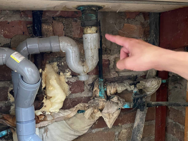 Best Ceiling water damage repair  in Wildwood, FL